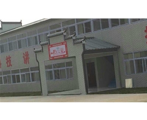 砖纹徽派活动房
