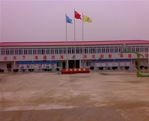 T式豪华彩钢四坡五脊房 (5)
